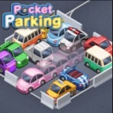 Pocket Parking Master Your Parking Skills