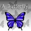 A Butterfly