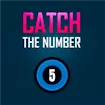 Catch The Number