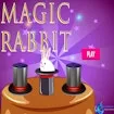 Magic Rabbit