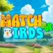 Match Pop Birds