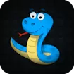 Snake YO - Fun Slither Arena Game Play Online & Unblocked