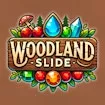 Woodland Slide